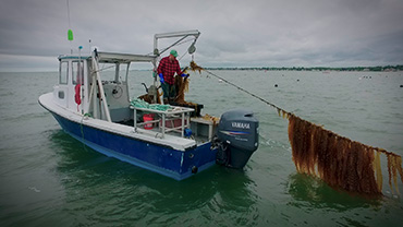 3D OCEAN FARMING