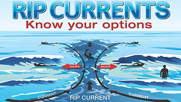 Rip Current Survival Guide